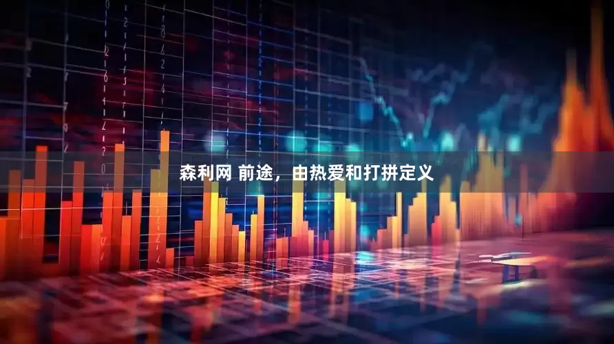 森利网 前途，由热爱和打拼定义