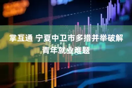 掌互通 宁夏中卫市多措并举破解青年就业难题
