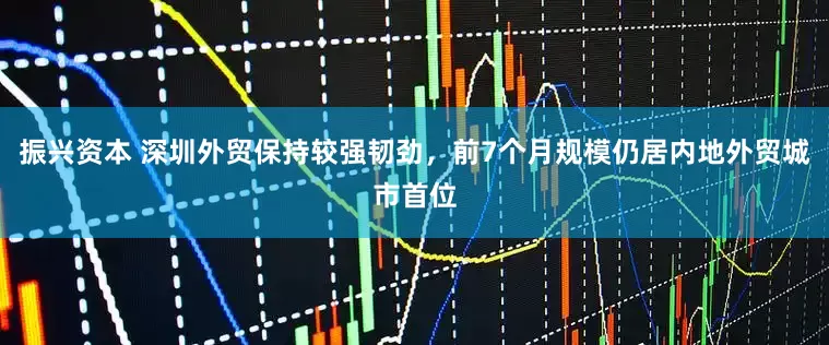 振兴资本 深圳外贸保持较强韧劲，前7个月规模仍居内地外贸城市首位