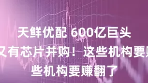 天鲜优配 600亿巨头出手 又有芯片并购！这些机构要赚翻了
